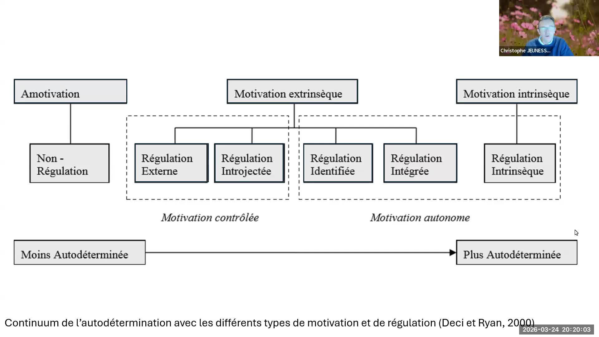 Motivation, volition et digital learning